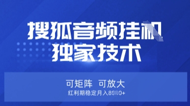 【搜狐音频挂G】独家技术，可矩阵可放大，红利期稳定月入8k【揭秘】-链星网