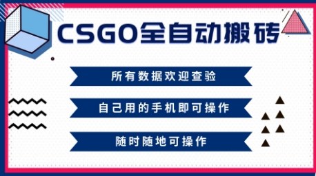 CSGO全自动搬砖，年底钱回家好项目，当天可拿到结果，新手小白轻松月入1W+【揭秘】-链星网